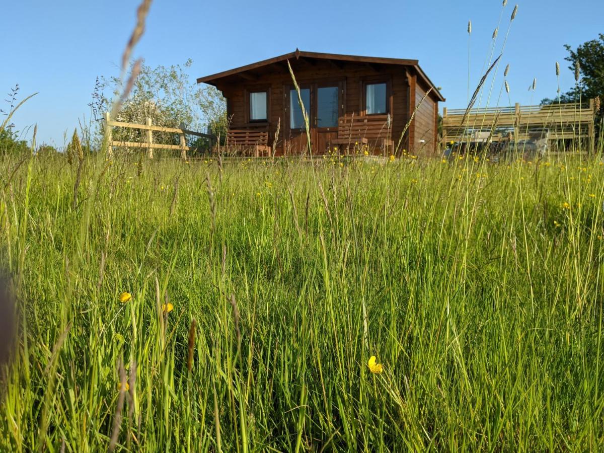 Foxhill Lodges แคนเทอร์เบอรี ภายนอก รูปภาพ